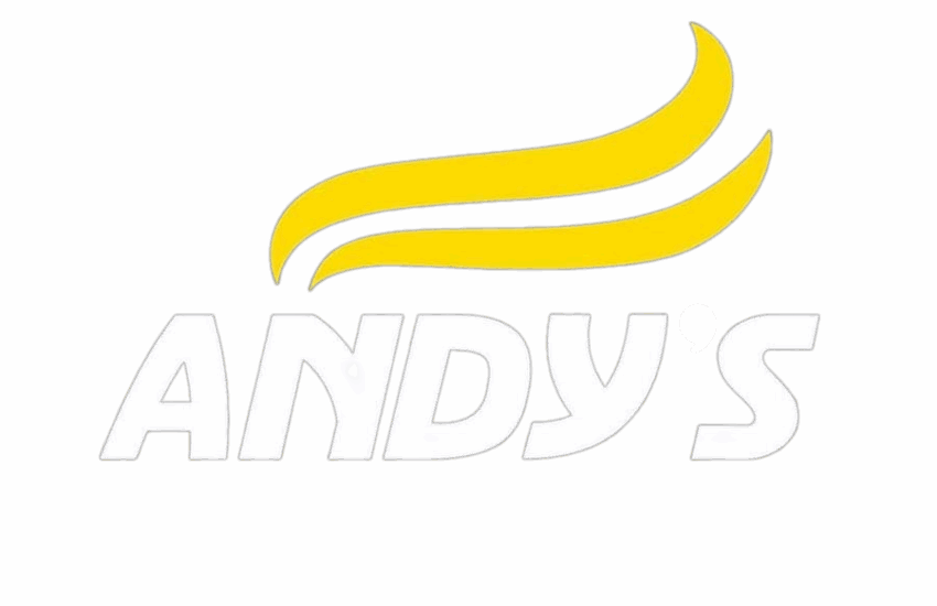 ANDY'S PIZZA